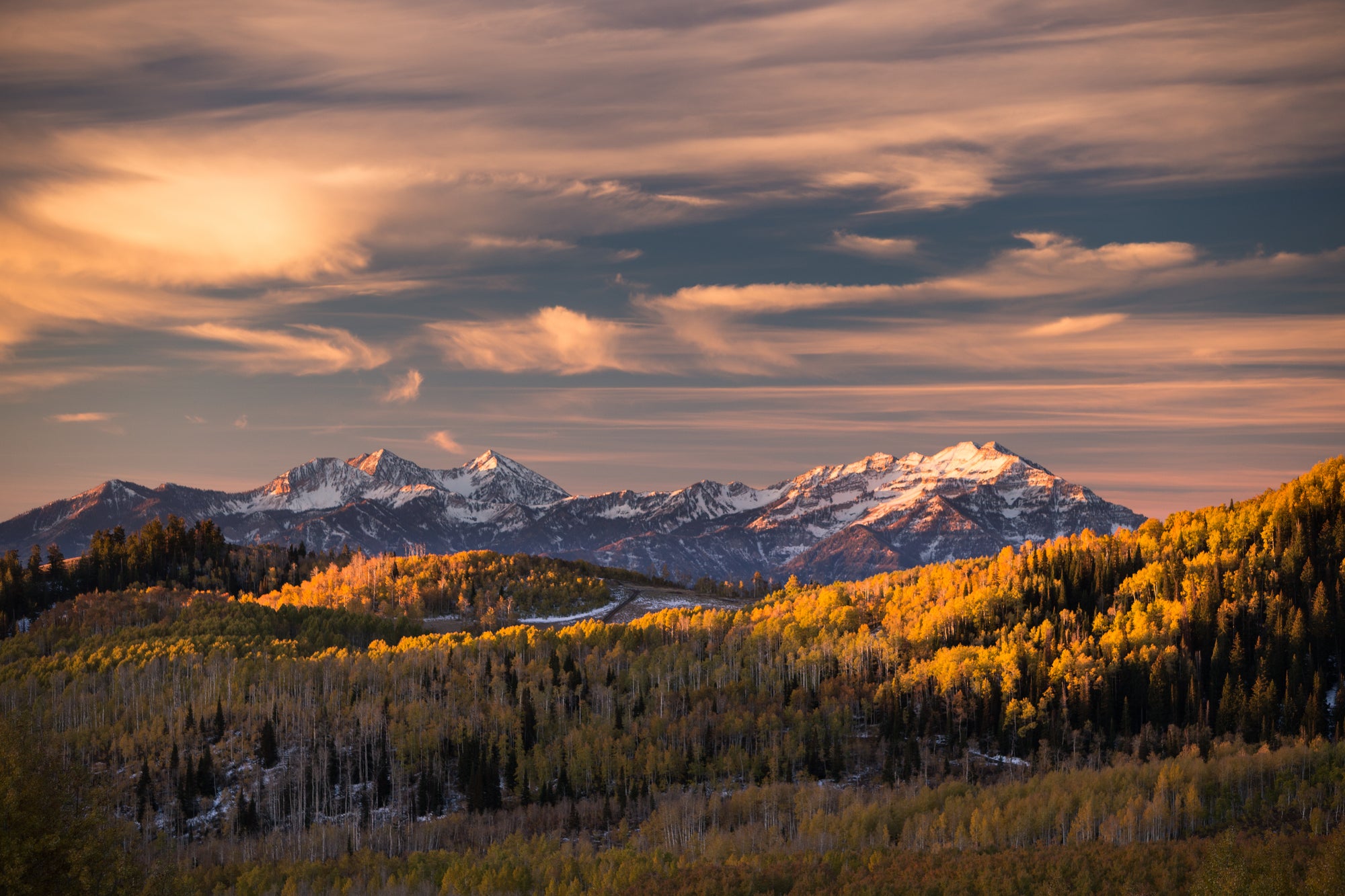 2025 TRAIL Park City