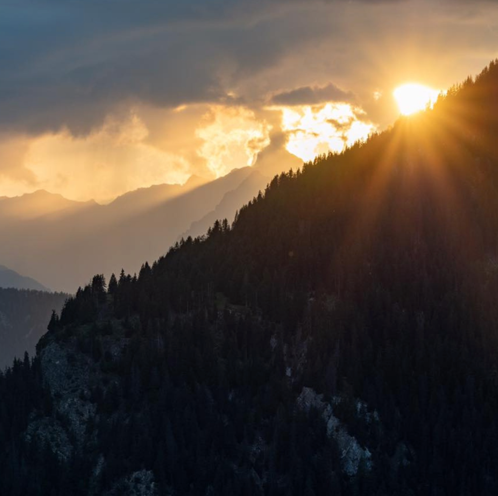 Verbier